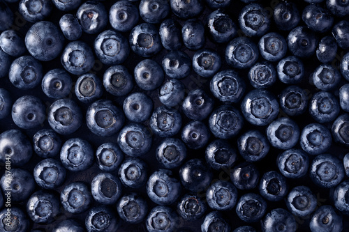 Background from freshly picked blueberries  healthy eating concept