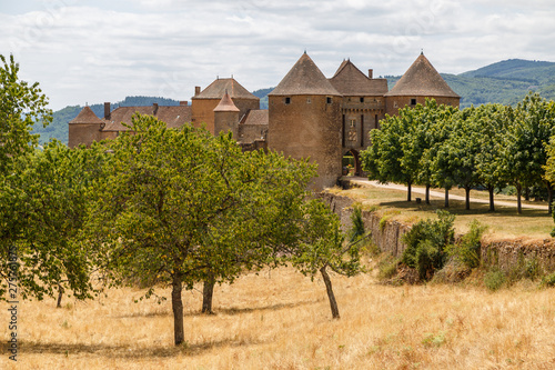 View to the medieval castle in Berze (Berze-la- Ville), France photo