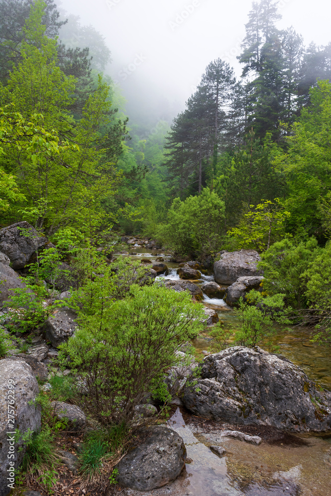 Obraz premium Stream at Olympus mountain, Greece