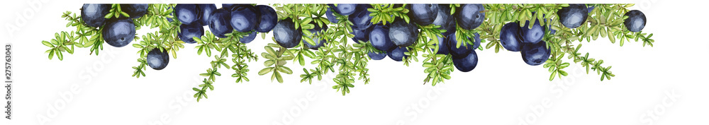 Border frame with black forest northern berries of the crowberry, painted in watercolor. Ideal for wedding invitations, cards, logos Border frame with black forest northern berries of the crowberry, painted in watercolor. Ideal for wedding invitations, cards, logos