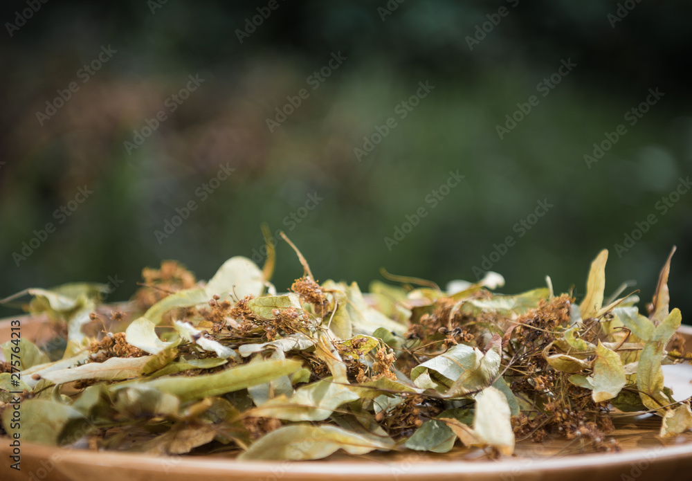 Dried lime-blossoms for herbal tea Dried lime-blossoms for herbal tea