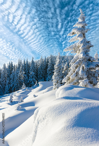 Dekoracja na wymiar  zimowy-krajobraz-gorski