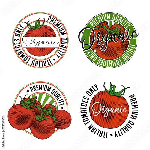 Tomato badge stamp label design set. Vector illustration of tomatoes in engraving technique. Isolated on white background.