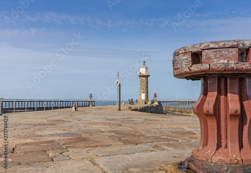 Slika na platnu Whitby lighthouse and pier.