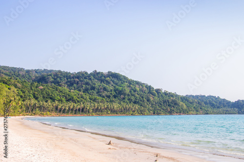 Palm trees and the sky bright on white sand beach at ao phrao area koh kood island Trat province Thailand.
