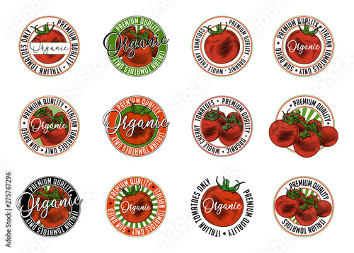 Tomato badge stamp label design set. Vector illustration of tomatoes in engraving technique. Isolated on white background.