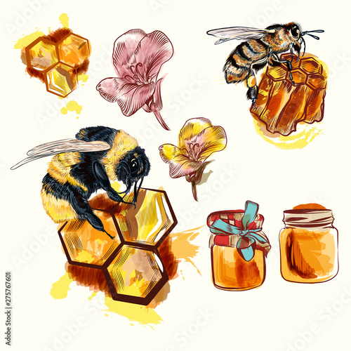 Hand drawn vector bees and honey, illustration isolated on white set