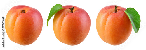 Apricot isolate. Apricots on white. Fresh apricot fruit. Set with clipping path.
