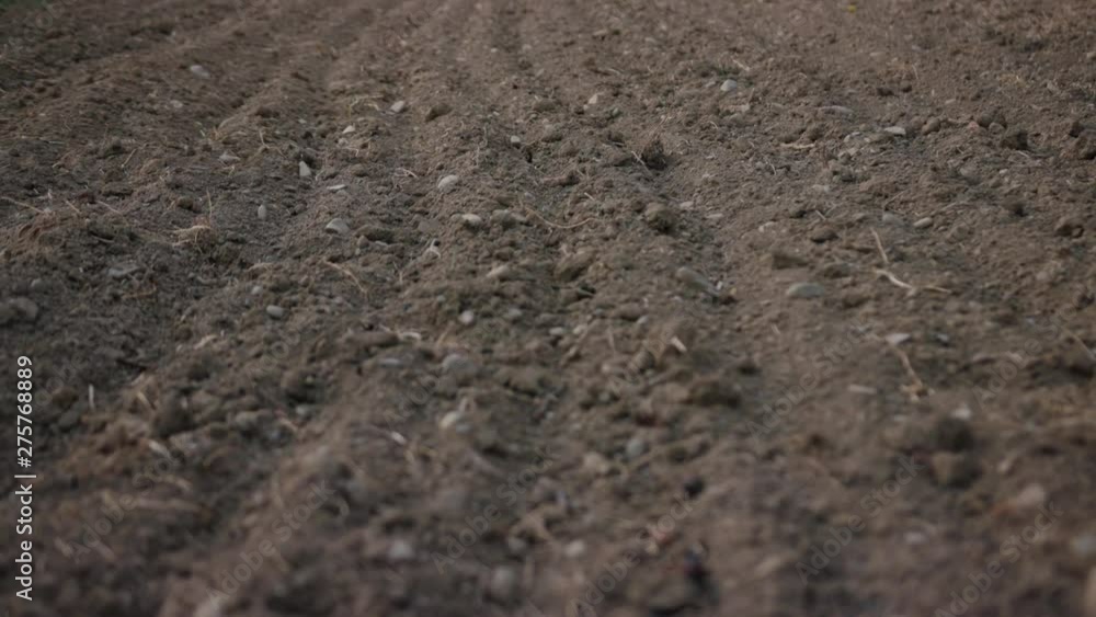 Close up brown ground on field agriculture cultivated plantation season view countryside crop dirt farm green harvest natural path plant rural soil above aerial agricultural slow motion Close up brown ground on field agriculture cultivated plantation season view countryside crop dirt farm green harvest natural path plant rural soil above aerial agricultural slow motion