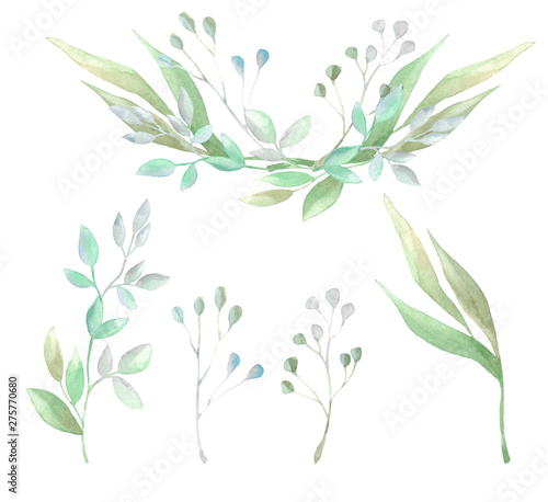Set of wild herbs and one composition of leaves and branches © Наталья Захарова