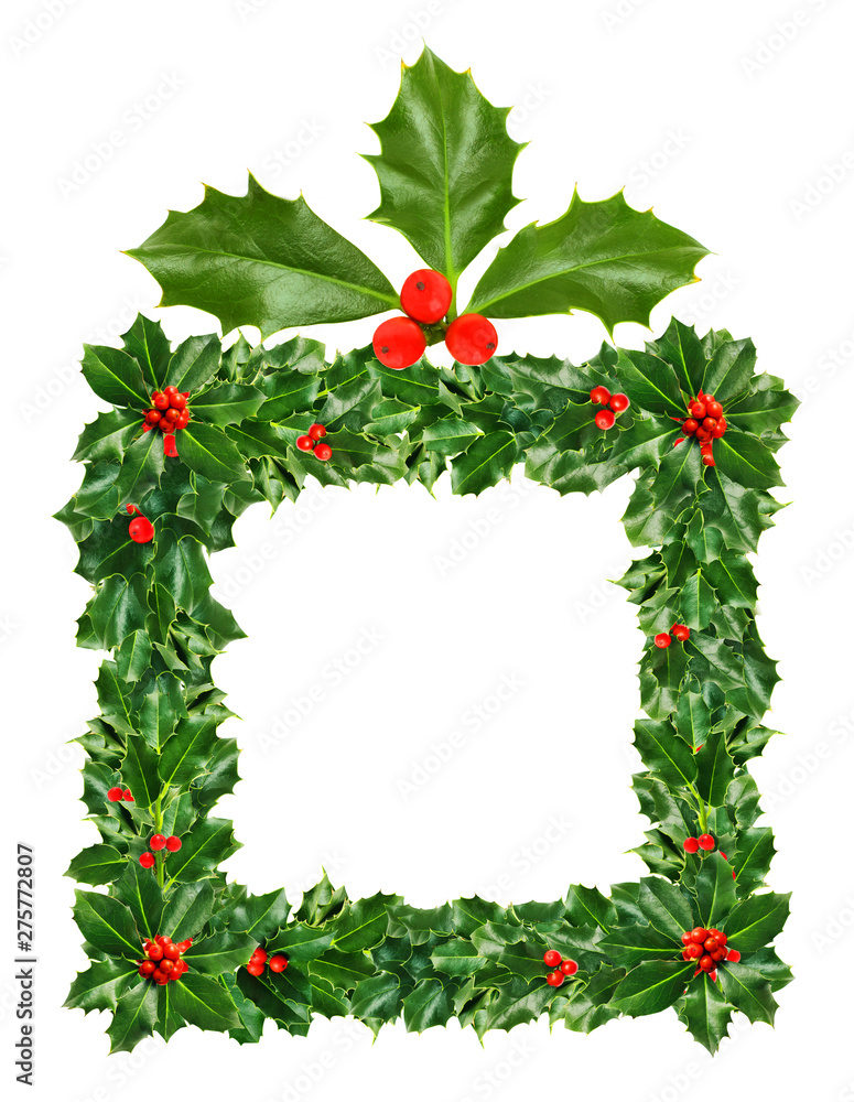 Christmas Gift box of Green Holly Leaves and Berries Isolated on White background Christmas Gift box of Green Holly Leaves and Berries Isolated on White background