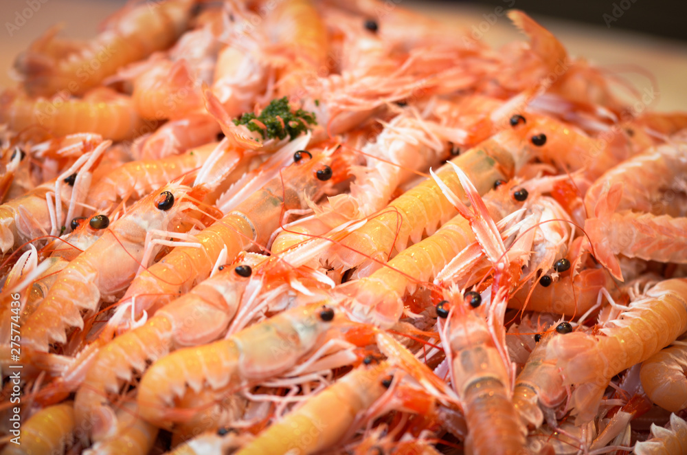 fresh seafood within the fish market in Spain - octopus, shells, shrimps, fish, oysters, lobster fresh seafood within the fish market in Spain - octopus, shells, shrimps, fish, oysters, lobster