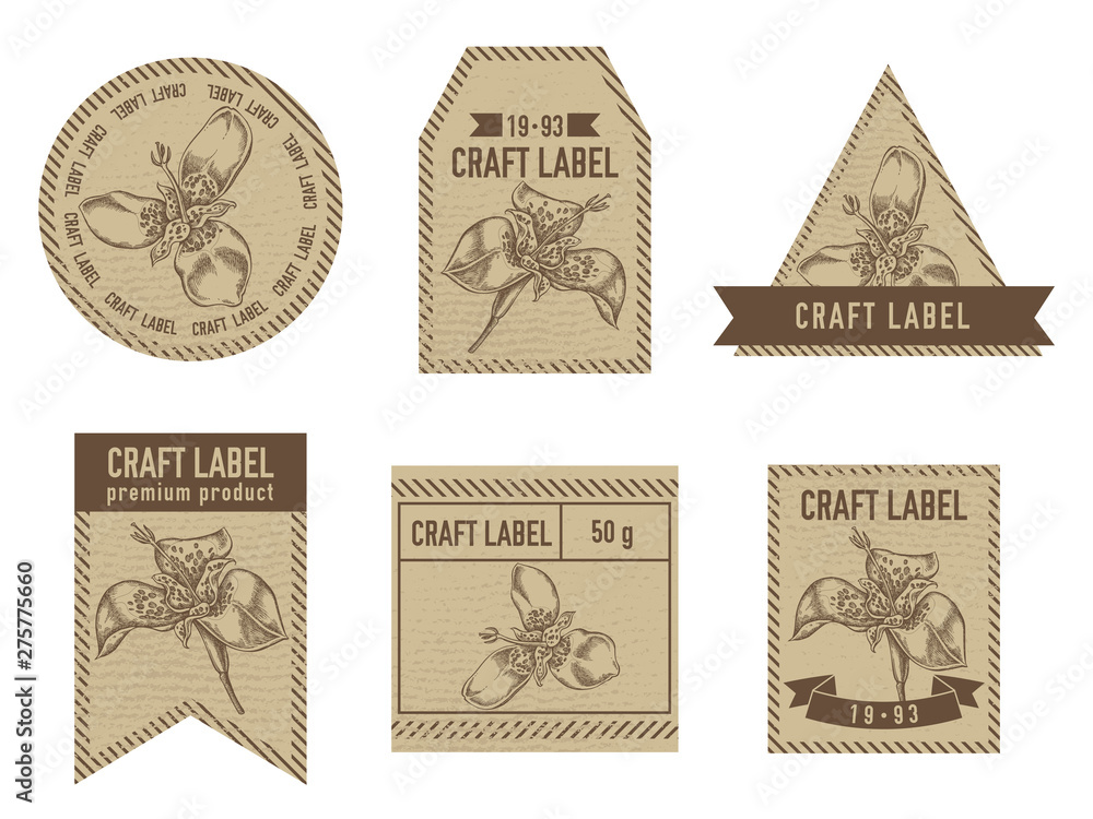 Fototapeta premium Craft labels with tigridia