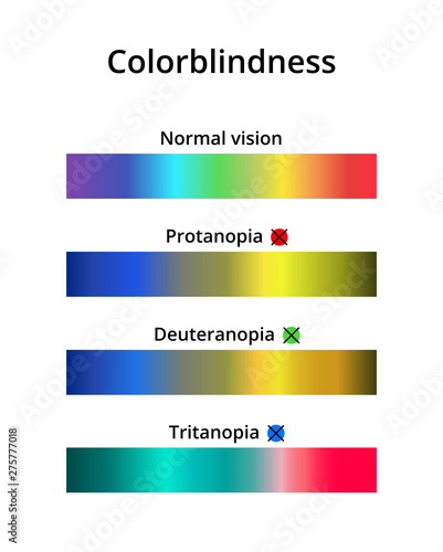 Vector illustration of color blindness or colorblindness. Normal vision, protanopia, tritanopia and deuteranopia. Color vision deficiency spectrum. Decreased ability to see color. Isolated on white.
