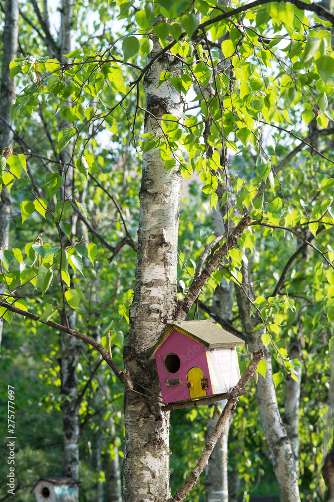 Wooden bird house in the forest.