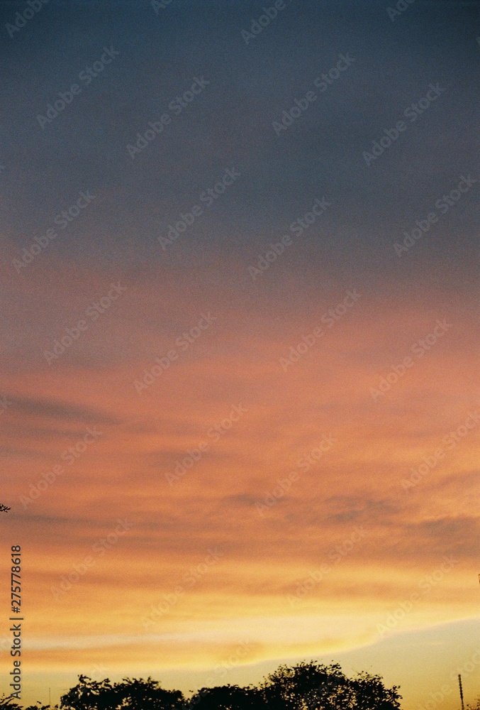Fototapeta premium today
