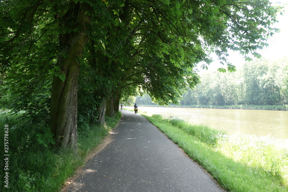 Obraz premium Quality new asphalt cycle paths. Labe River in the Czech Republic. Cycling concept. Elbe radweg. Labska cyklostezka.