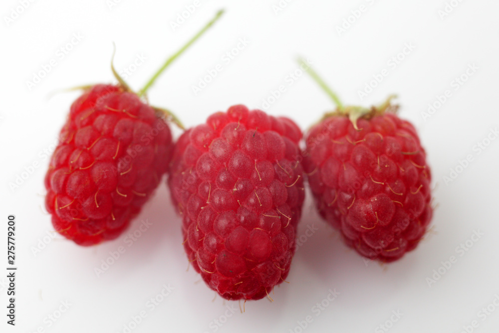 Raspberry on white background macro Raspberry on white background macro