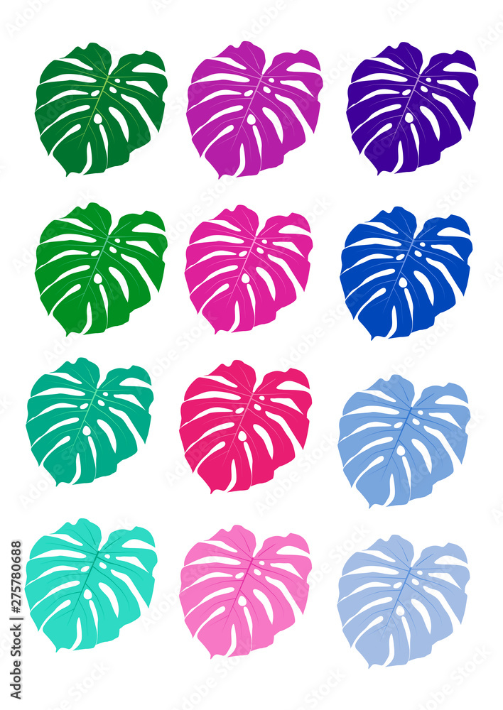 Monstera leaves in different colors Monstera leaves in different colors