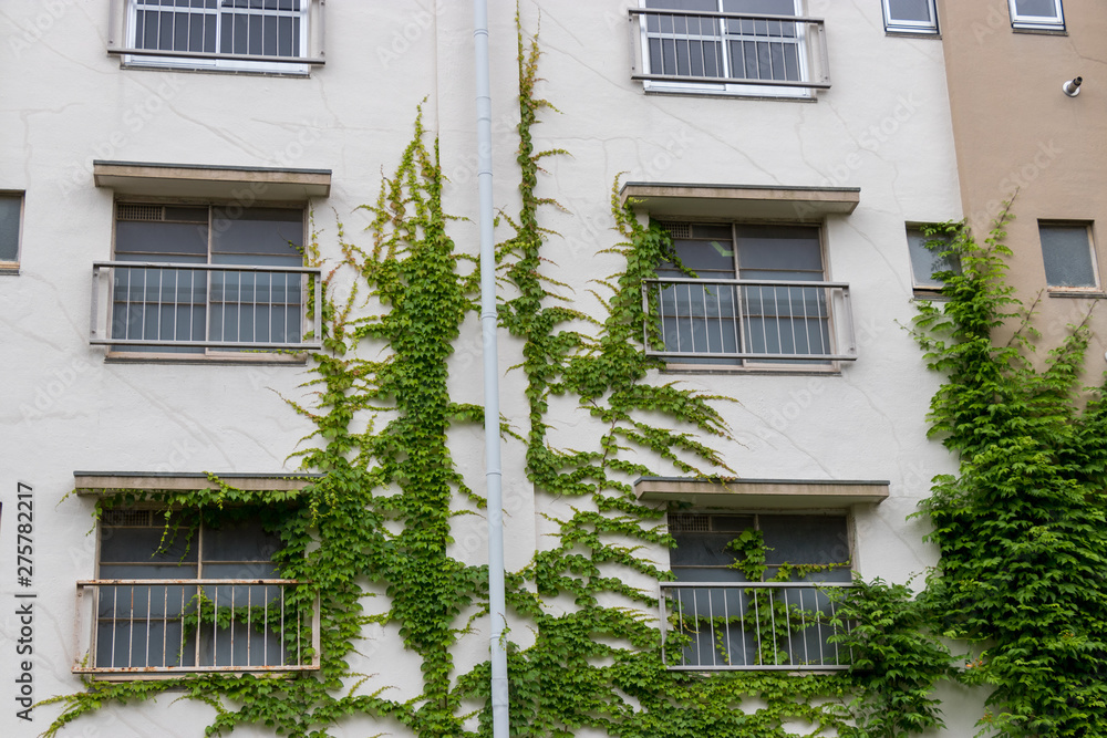 Obraz premium 武里団地 埼玉県春日部市