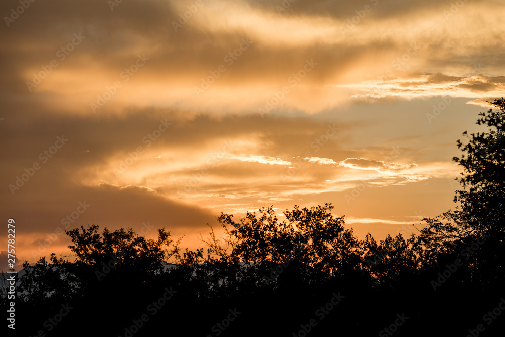 Sunset sky in africa with beautifl orange colors