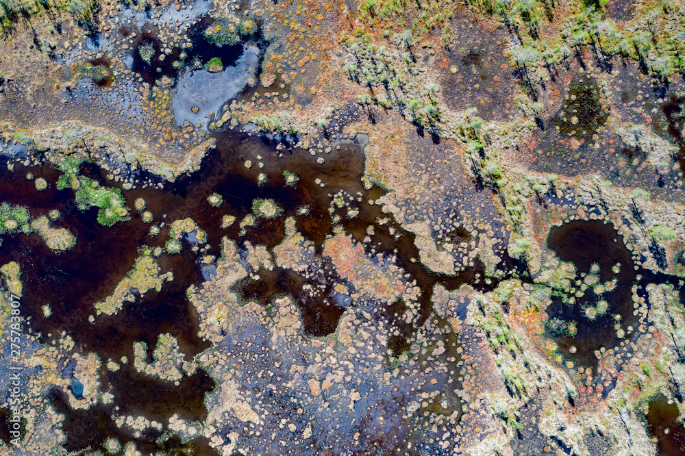 Tundra Tundra