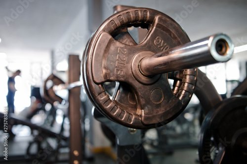 Картината върху платно Pectoral press bench