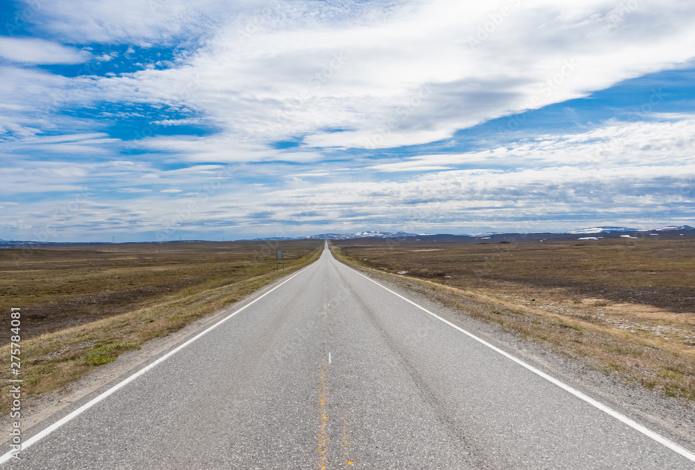 Naklejka premium Endlose Tundra