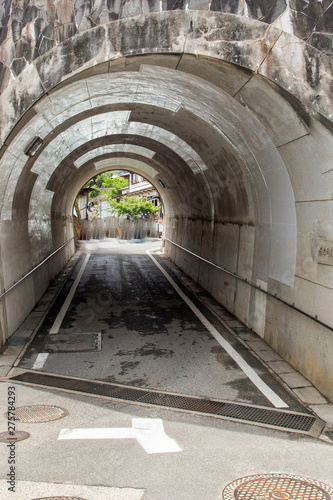 the tunnel