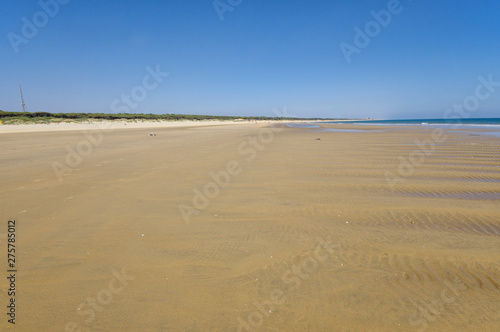 The sandy landscape of Marismas del Odiel National Park in Andalusia  Spain