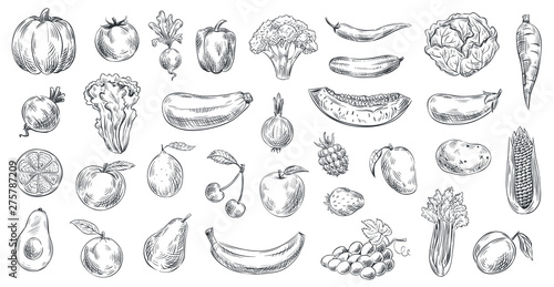 Sketched vegetables and fruits. Hand drawn organic food, engraving vegetable and fruit sketch. Healthy fresh vegetarian or vegan foods doodle. Vector illustration isolated symbols set