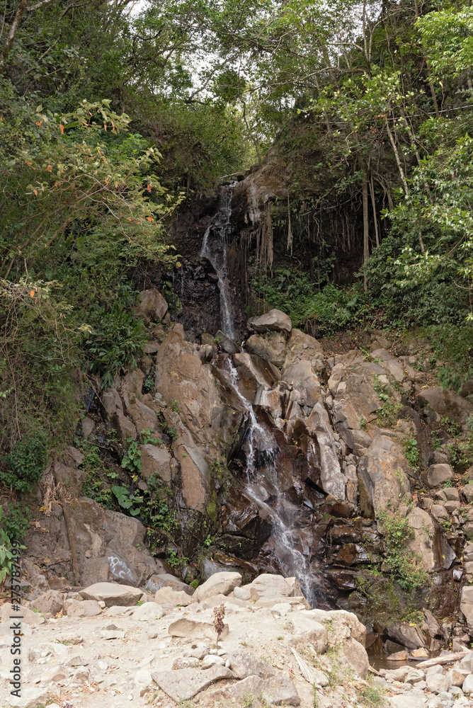Fototapeta premium Small waterfall in Volcan Baru National Park Panama