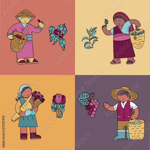 Colored cards with coffee beans collector, tea collector, rose gardener, vine yard owner