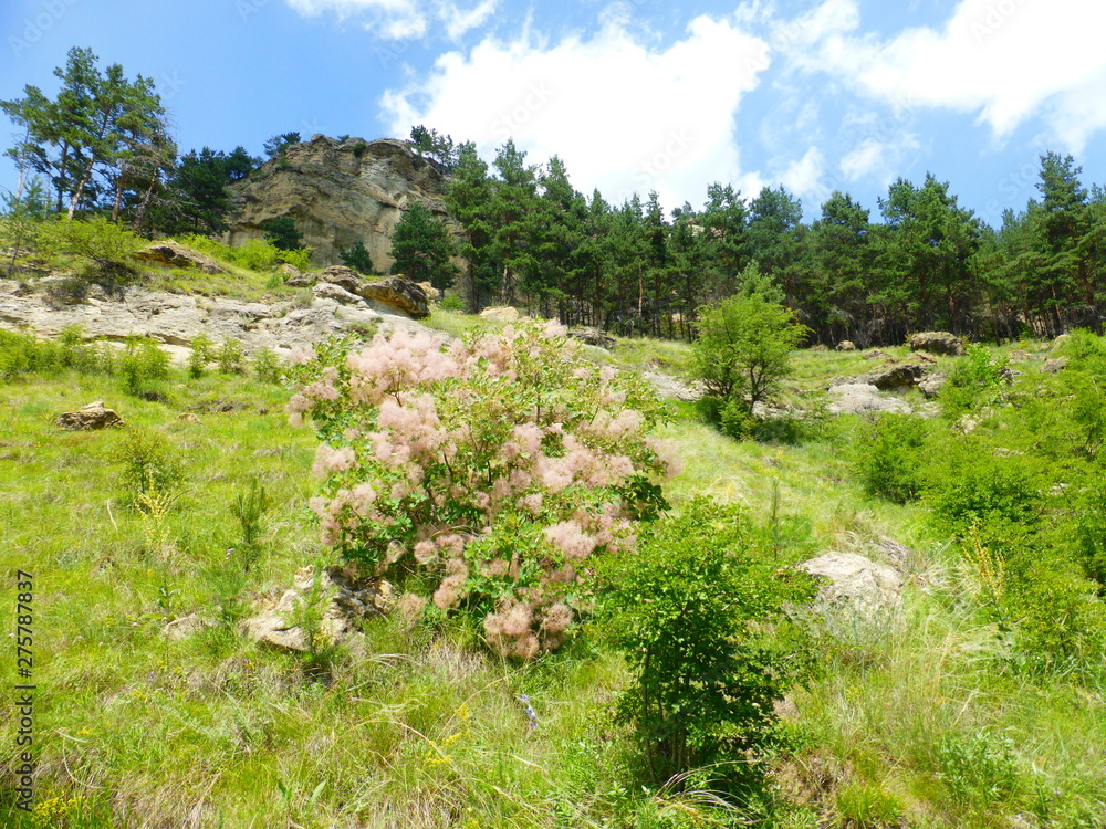 Fototapeta premium Borgustan mountain range