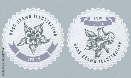 Monochrome labes with aquilegia illustration