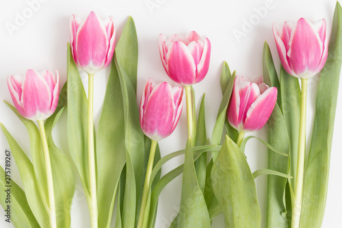 Fototapeta Naklejka Na Ścianę i Meble -  Pink tulips on a white table.