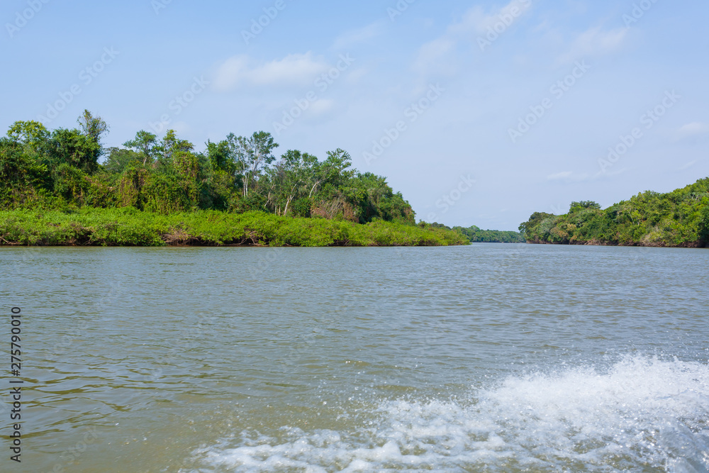 Panorama from Pantanal, Brazilian wetland region. Panorama from Pantanal, Brazilian wetland region.