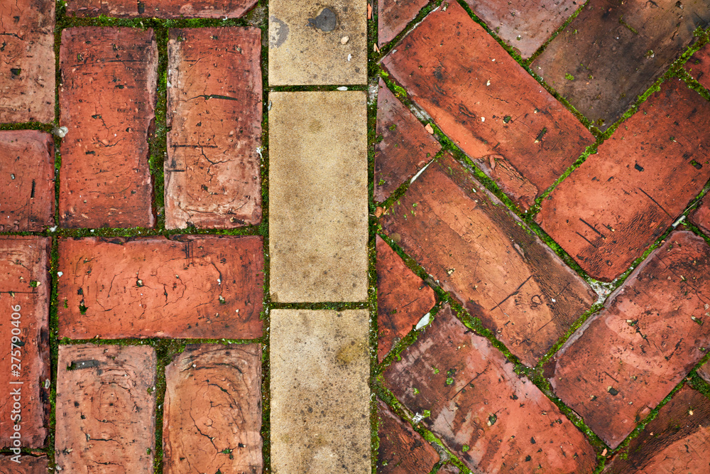 Fishbone and Double flemish bond red brick floor, green moss Fishbone and Double flemish bond red brick floor, green moss