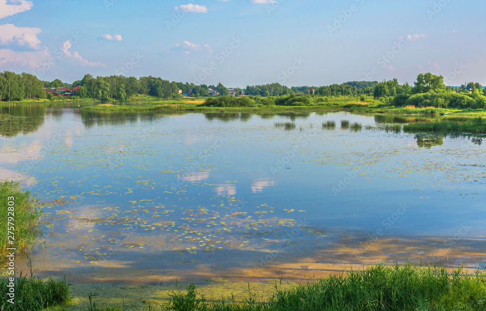 Obraz premium small village on shore of lake covered with duckweed