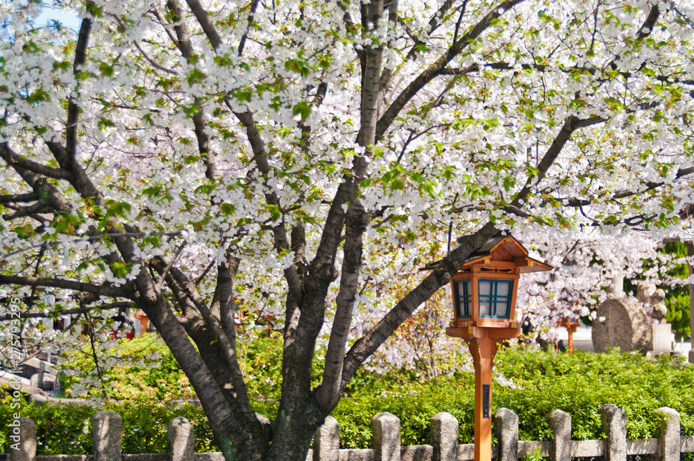 Rokusonno-jinja Shrine is a Shinto shrine located in Kyoto,Japan. Rokusonno-jinja Shrine is a Shinto shrine located in Kyoto,Japan.