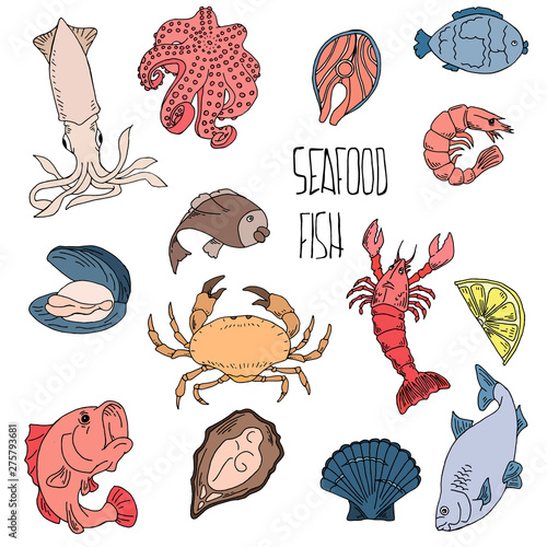 Set of hand drawn seafood, Healthy food drawings set elements for menu design. Vector illustration