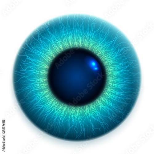 Close-up of human eye, cornea, retina, pupil. Blue 3d iris. Eyeball icon design isolated on white background. Realistic vector illustration