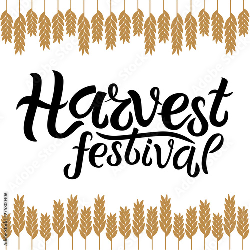 Vector illustration of Harvest festival text decorated with ears of wheat. Hand drawn lettering for harvest festival. Isolated autumn card, poster or banner template with calligraphic text.