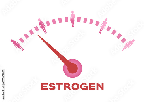 estrogen meter vector