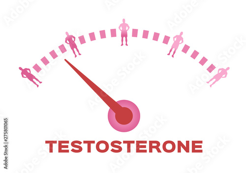 testosterone meter vector