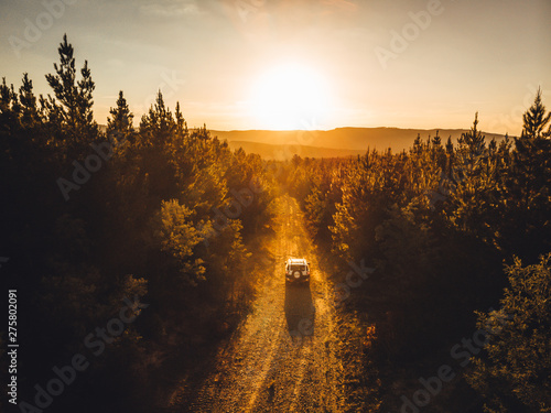 Принти на полотні Four wheel drive on dirt road in pine forest
