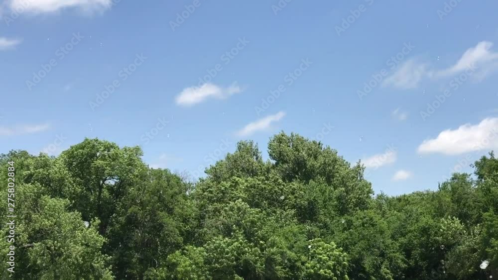 Bubbles blowing in the breeze drifting in front of green trees with a blue sky Bubbles blowing in the breeze drifting in front of green trees with a blue sky
