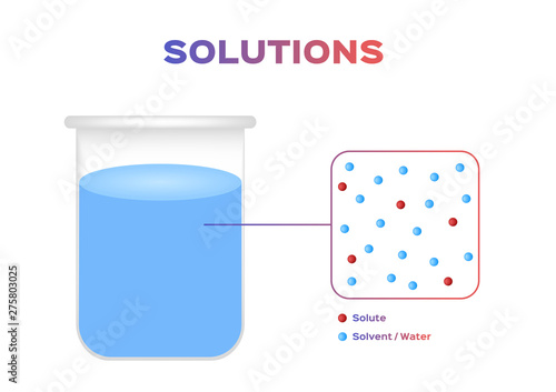 solution of water infographic vector / dissolve and solvent