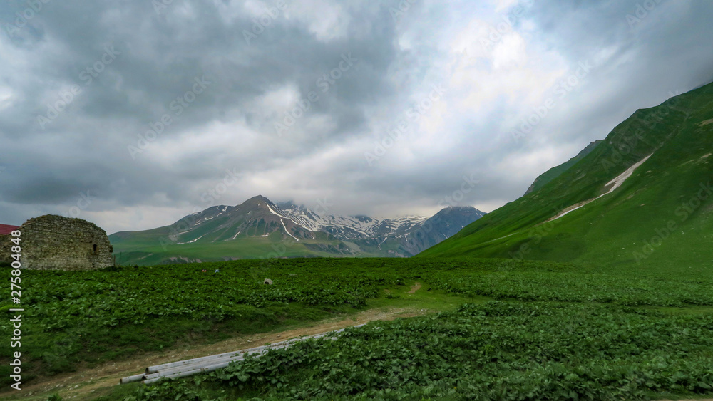 Naklejka premium the charming and extraordinary nature of Georgia