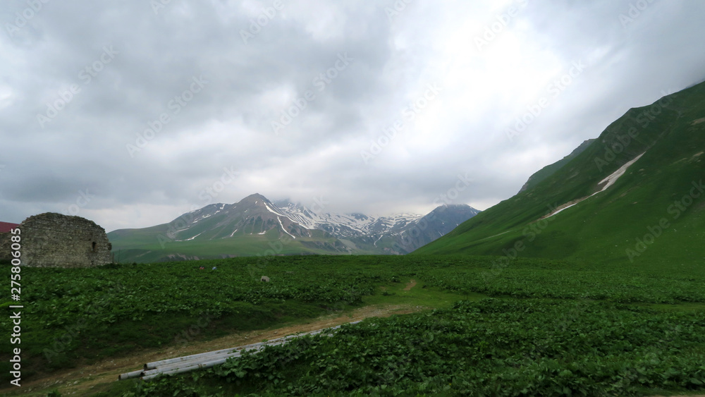 Fototapeta premium the charming and extraordinary nature of Georgia